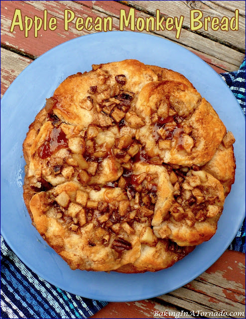 Apple Pecan Monkey Bread, an ooey, gooey, apple pecan version of monkey bread is as delicious as it is pretty.  | recipe developed by www.BakingInATornado.com | #recipe #breakfast