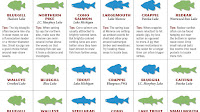 Montmorency County, Michigan Fish