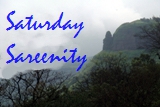 Saturday Sareenity