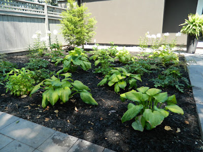 the danforth Toronto garden design after  by garden muses--not another Toronto gardening blog