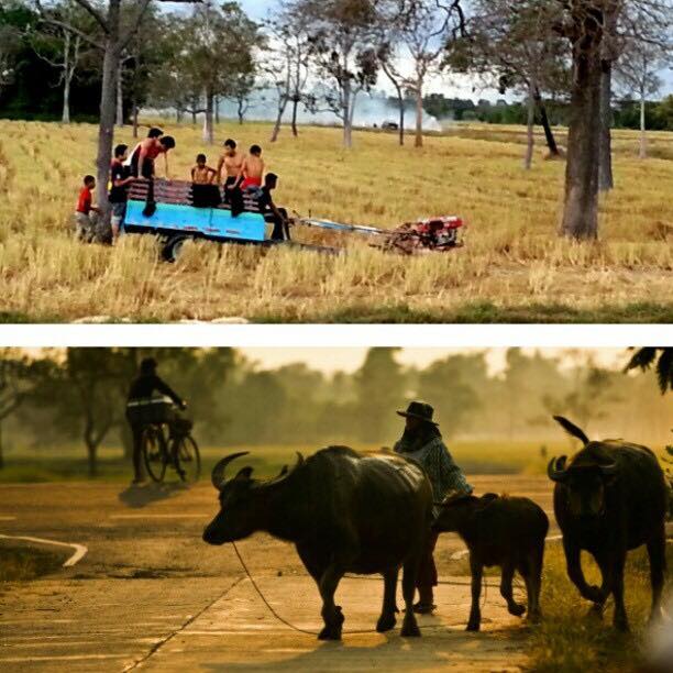 Motorized trailer for Thai journey