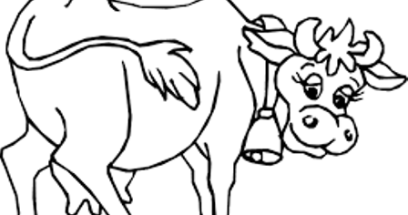  Sketsa  gambar  sapi untuk belajar mewarnai anak TK