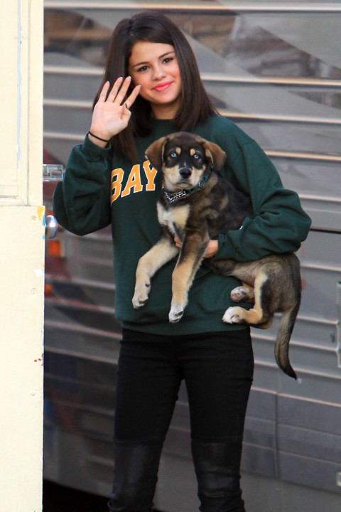 Justin Bieber and Selena Gomez Adopt a Puppy