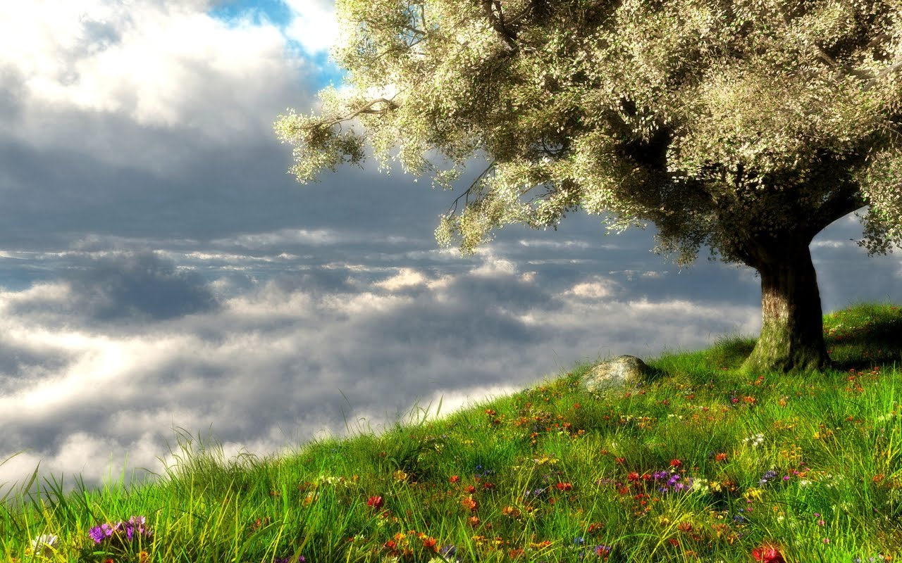 Spring Landscape Wallpaper