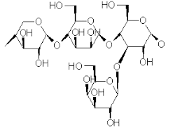 Hemiselulosa