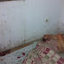 Homem assassinado a tiros na Tapera, Campos.