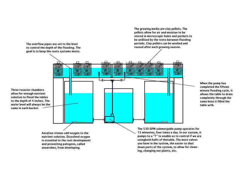 ... indoor hydroponics vegetables, in an ebb and flow hydroponic system