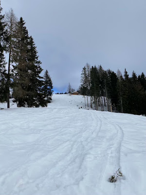 Dolomiti Comelico Superiore passeggiate neve