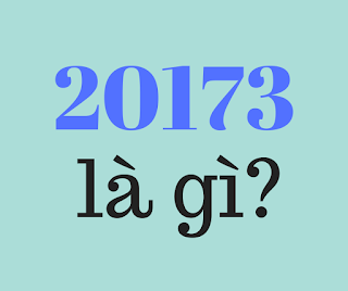 20173 là gì