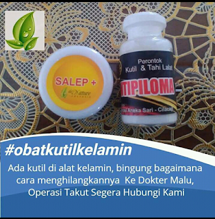 Salep Kutil Kelamin