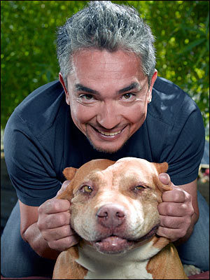 cesar millan dog whisperer. the f#39;ing dog whisperer. x