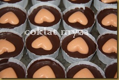 Coklat Myza 10.3.2011 004