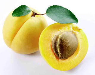 benefits_of_eating_apricots_fruits-vegetables-benefits.blogspot.com(7)