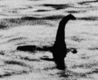 Nessie the Loch Ness Monster sighting in the lake