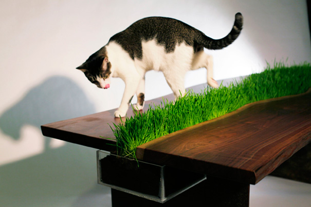 flower pot tower ideas Cat Friendly Table | 605 x 403