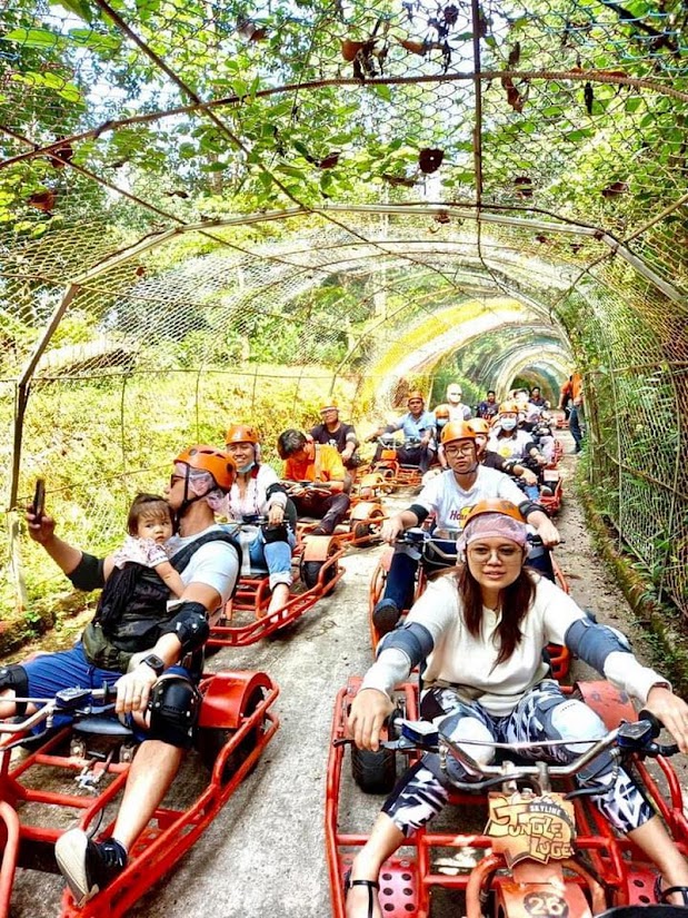 skyline jungle luge, skyline jungle luge chiang mai, skyline jungle luge in chiang mai, skyline jungle luge zipline, zipline skyline jungle luge, zipline skyline jungle luge chiang mai