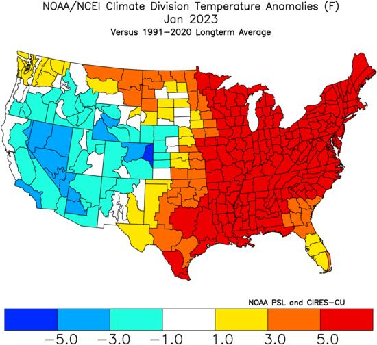 Jan%20Temps.jpg