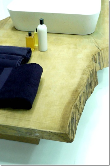 I Saloni 2010 229