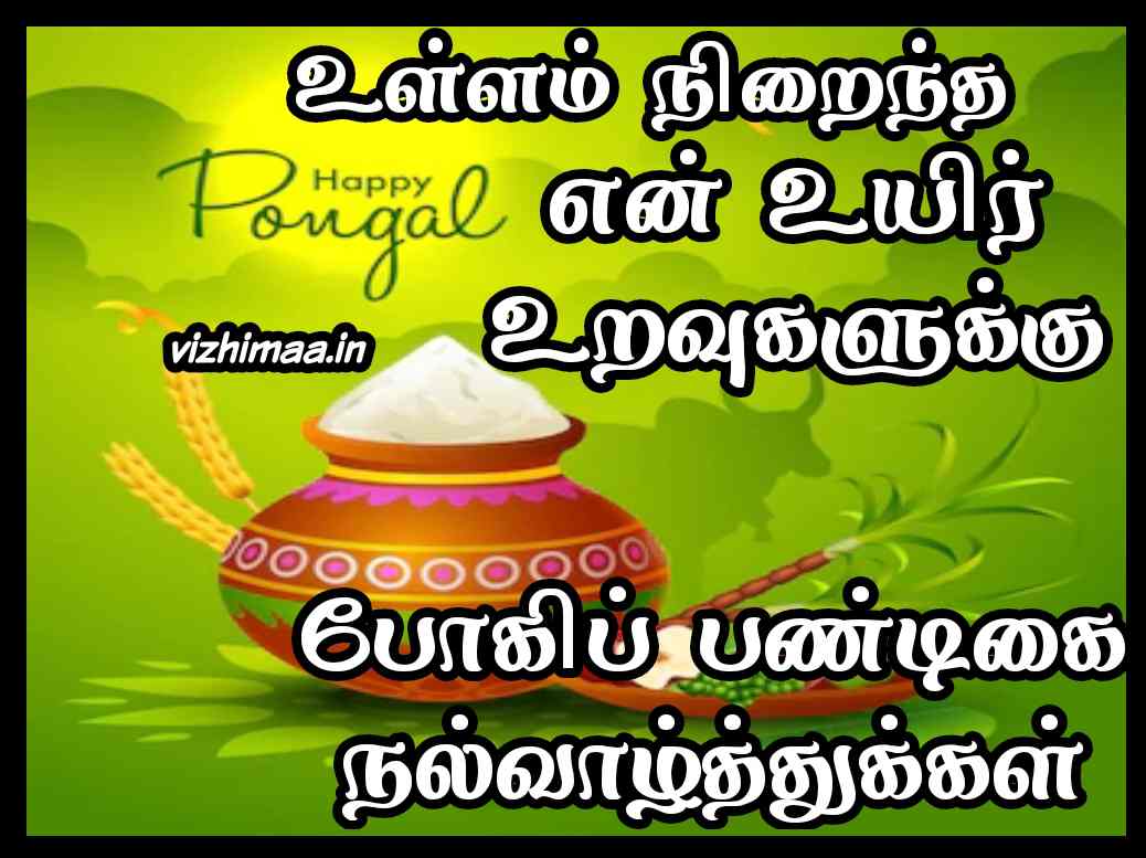 Pogi Pongal Wishes images in Tamil