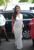 Katrina, Kaif, Looks, Super, Hot, In, White, Saree, At, The, Rajiv, Gandhi, Awards