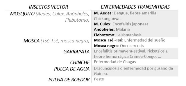 Tabla con Ejemplos de enfermedades transmitidas por insectos