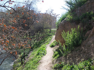 sendero orilla Huerva Zaragoza