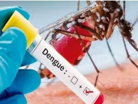 Delhi News: डेंगू के मामले बढ़ने का न करें इंतजार, रोकथाम में लापरवाही आगे पड़ सकती है भारी