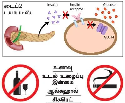 ஆல்கஹால்