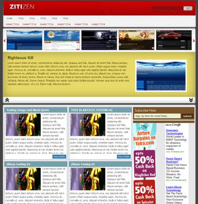 Zitizen Professional Blogger Template