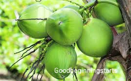 Coconut water Benefits