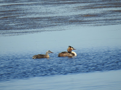 Laguna de Gallocanta