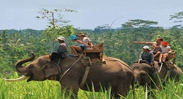 Bali Elephant Ride Tour