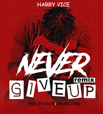 Music Audio | Harry Vice – Never Give Up (Remix)