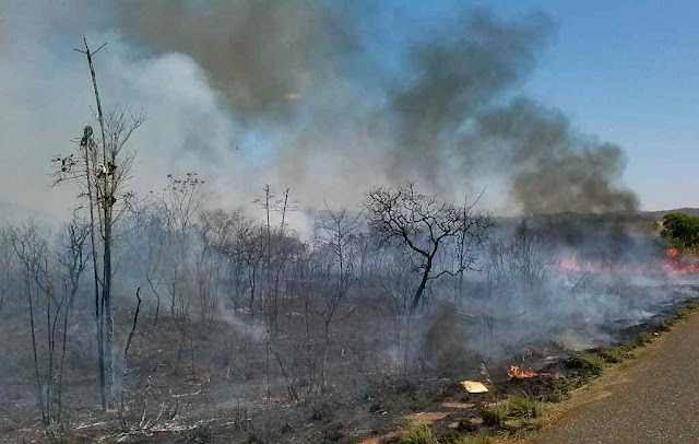 Queimadas e incêndios, acidentais ou provocados vem diminuindo, mas mídia, Teologia da Libertação e ecologia de Francisco silenciam