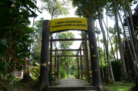 Taman Botani Shah Alam Bukit Cerakah? Wah Nyamannya ...
