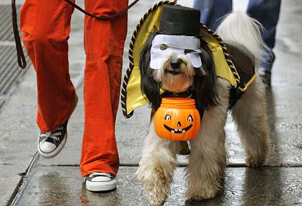 Halloween Photos To Post On Facebook http://www.halloweenday.net/