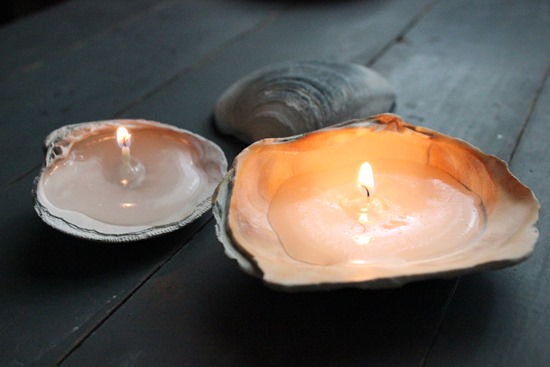 DIY Seashell Candles Shell Craft Tutorial 