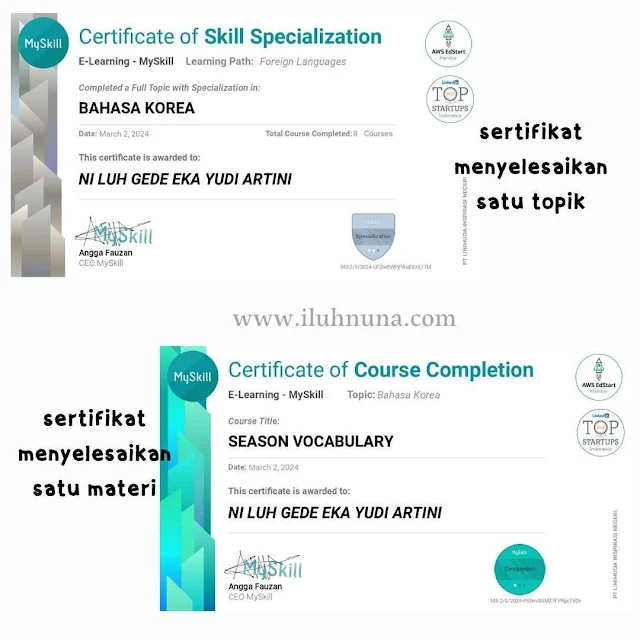 sertifikat my skill