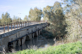 Puente de Cartuja