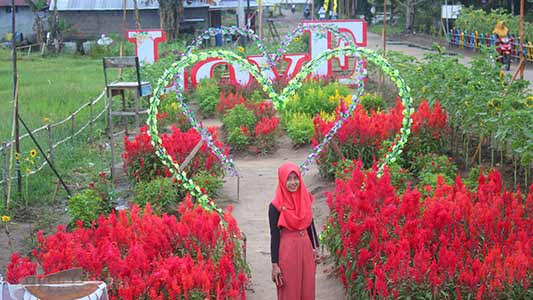 Rajati Flower Garden Menambah Daftar Objek Wisata Di Kubu