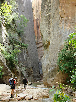 Hiking in the Virgin Narrow in Zion National Park