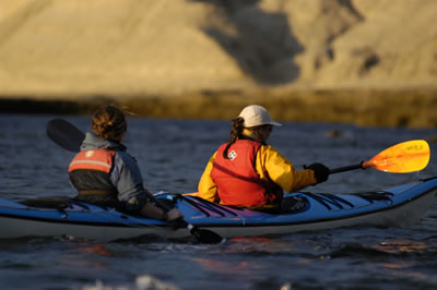 Patagonia Adventure in Kayak Peninsula Valdes  Argentina