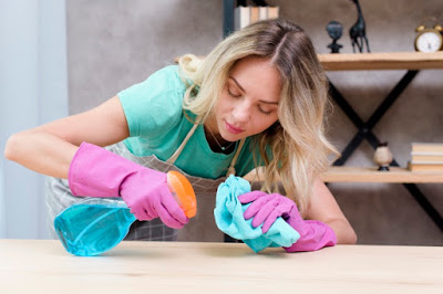 Port St Lucie Home Cleaning Services