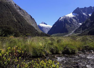 Fiordland