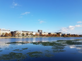 Early Morning Run - Copenhagen - The Lakes