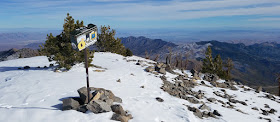 top of Griffith Peak