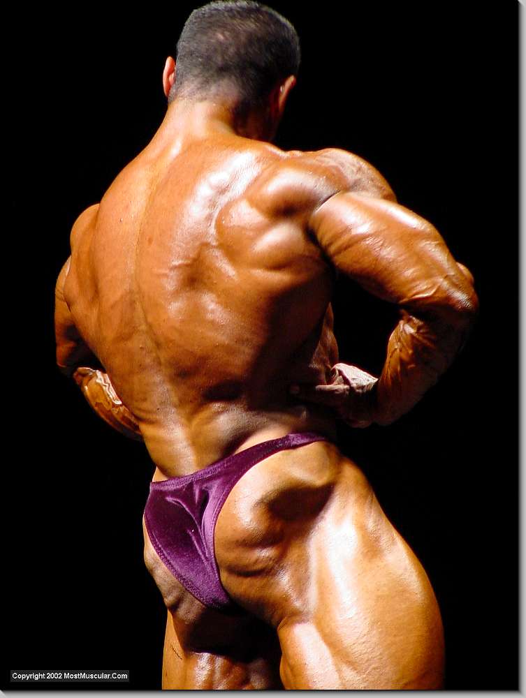 Resultado de imagem para Ahmad Haidar bodybuilder