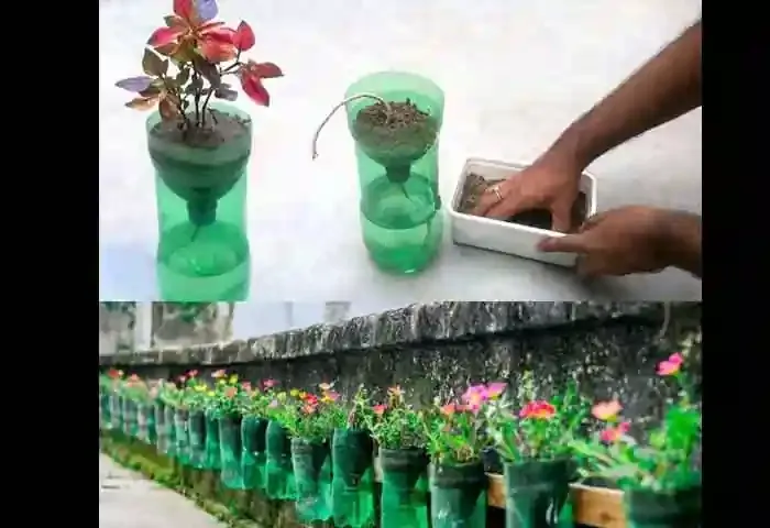 Malayalam-News, National, National-News, Agriculture, Agriculture-News, Irrigation, New Delhi, Farming, Plastic Bottles, Here’s how to make self-watering pots from plastic bottles.