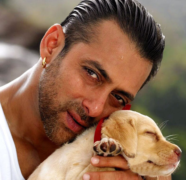 Salman Khan nice