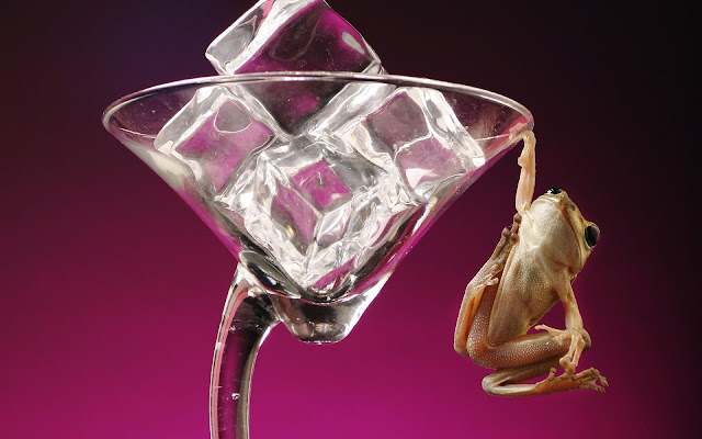 frog, ice cubes wallpaper, ice cubes, glass